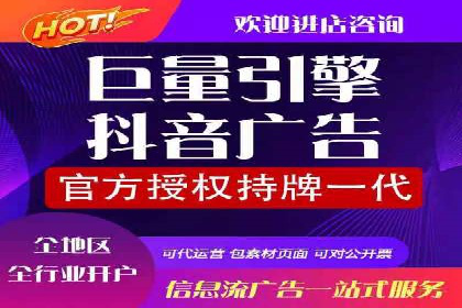 XX领域竞价广告的投放策略及效果展示